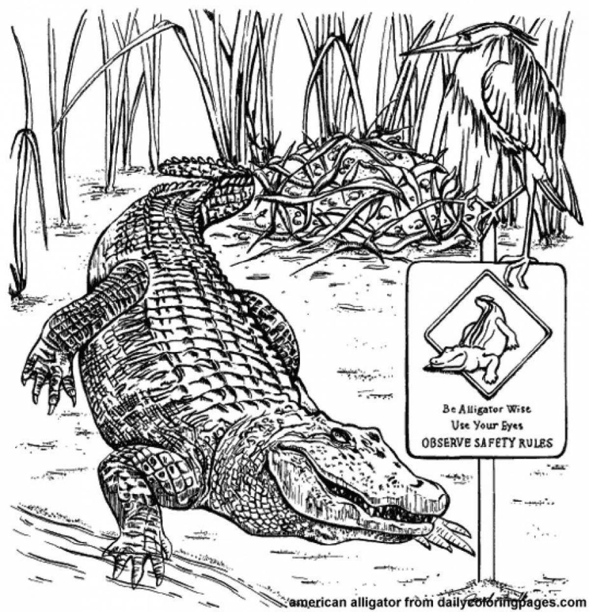 Привлекательная раскраска гребенчатого крокодила