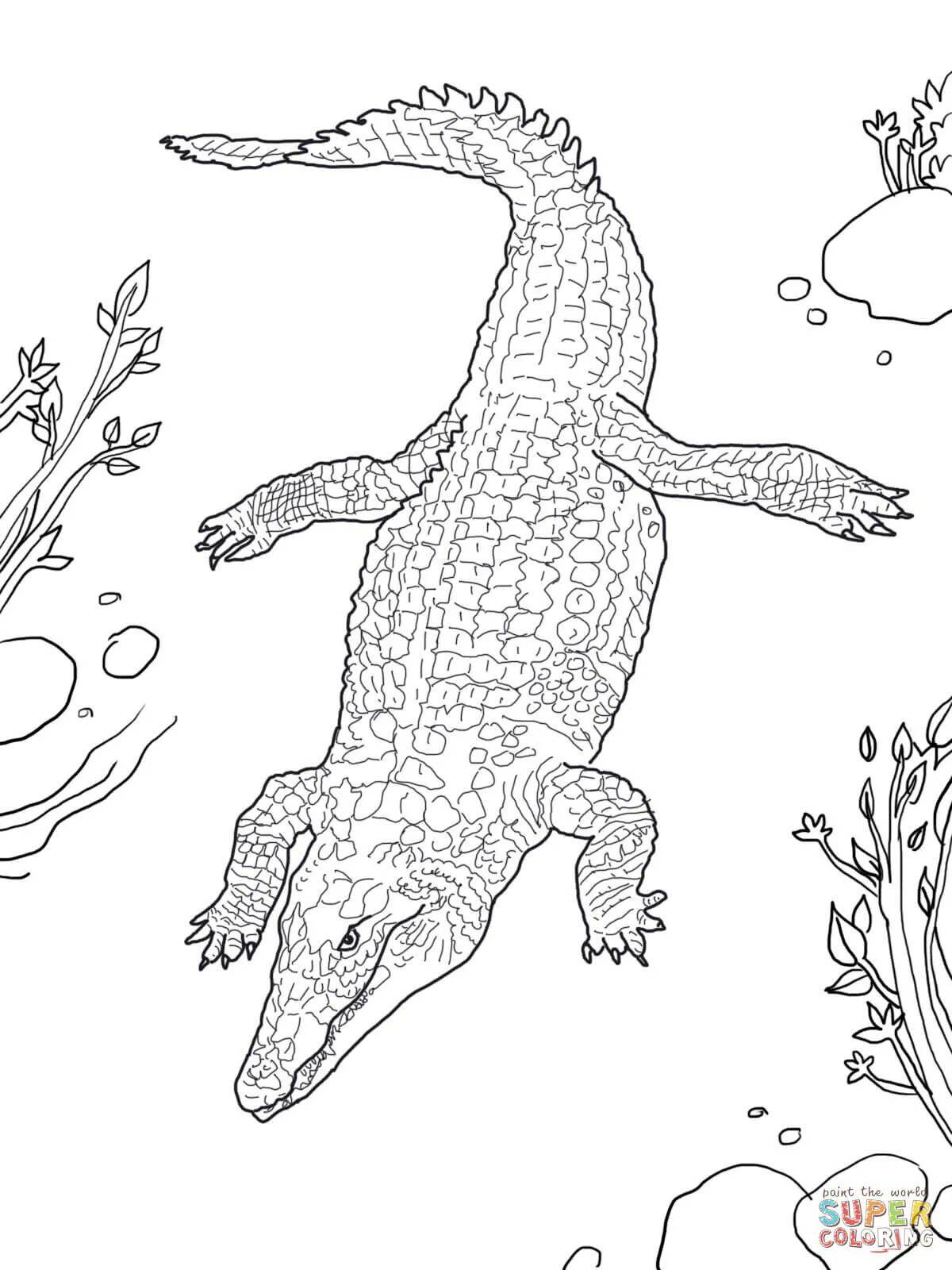 Coloring page incredible combed crocodile