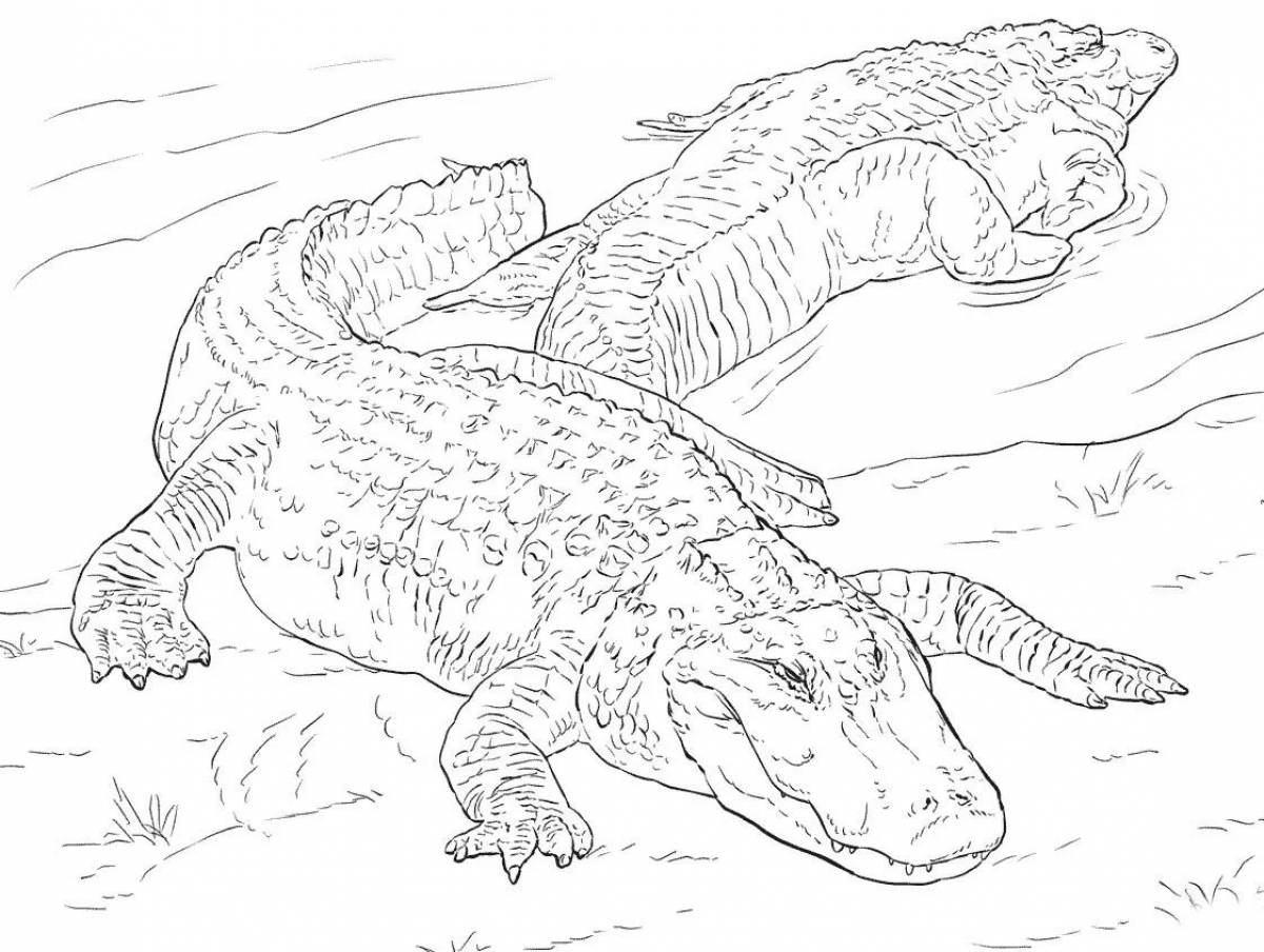 Раскраска сказочный гребешковый крокодил