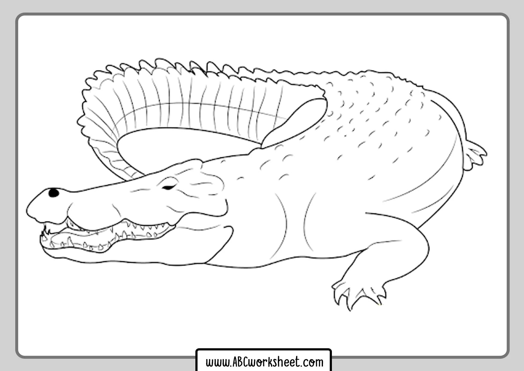Coloring page graceful scalloped crocodile