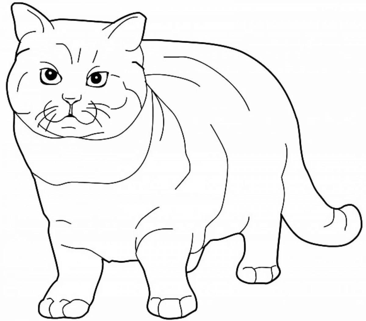 Fat cat #10