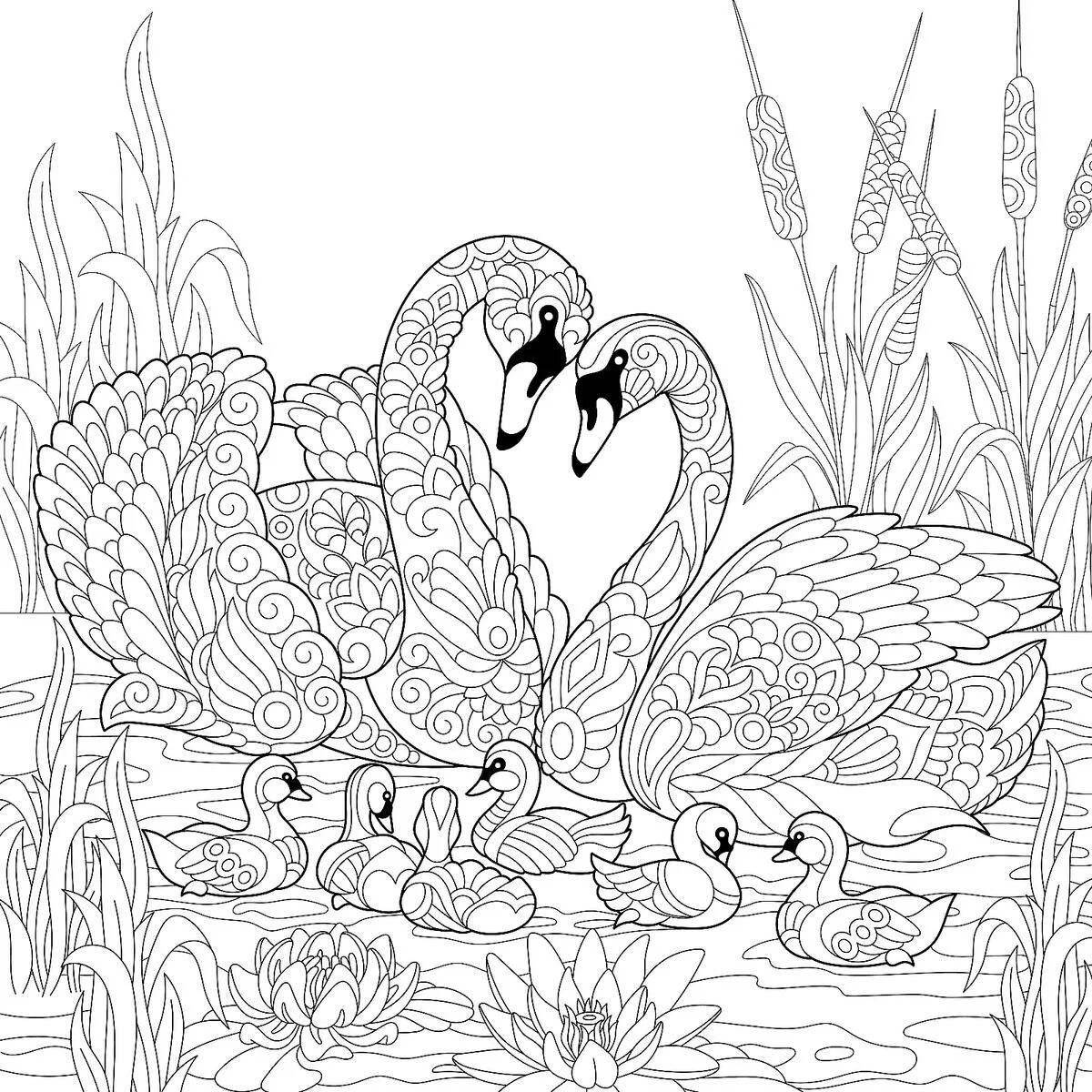 Coloring peaceful swan antistress