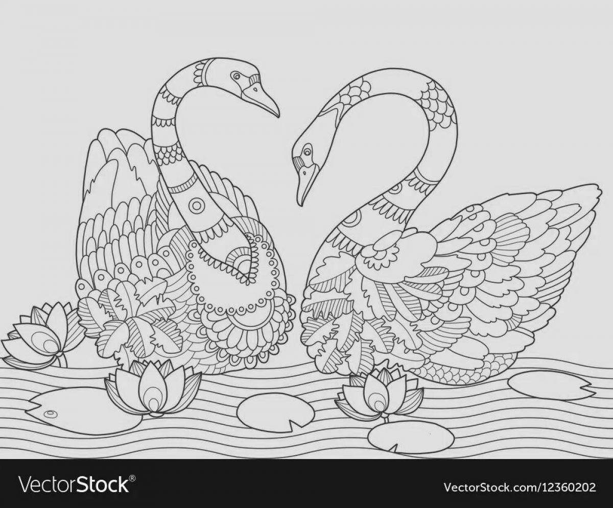 Blissful swan coloring antistress