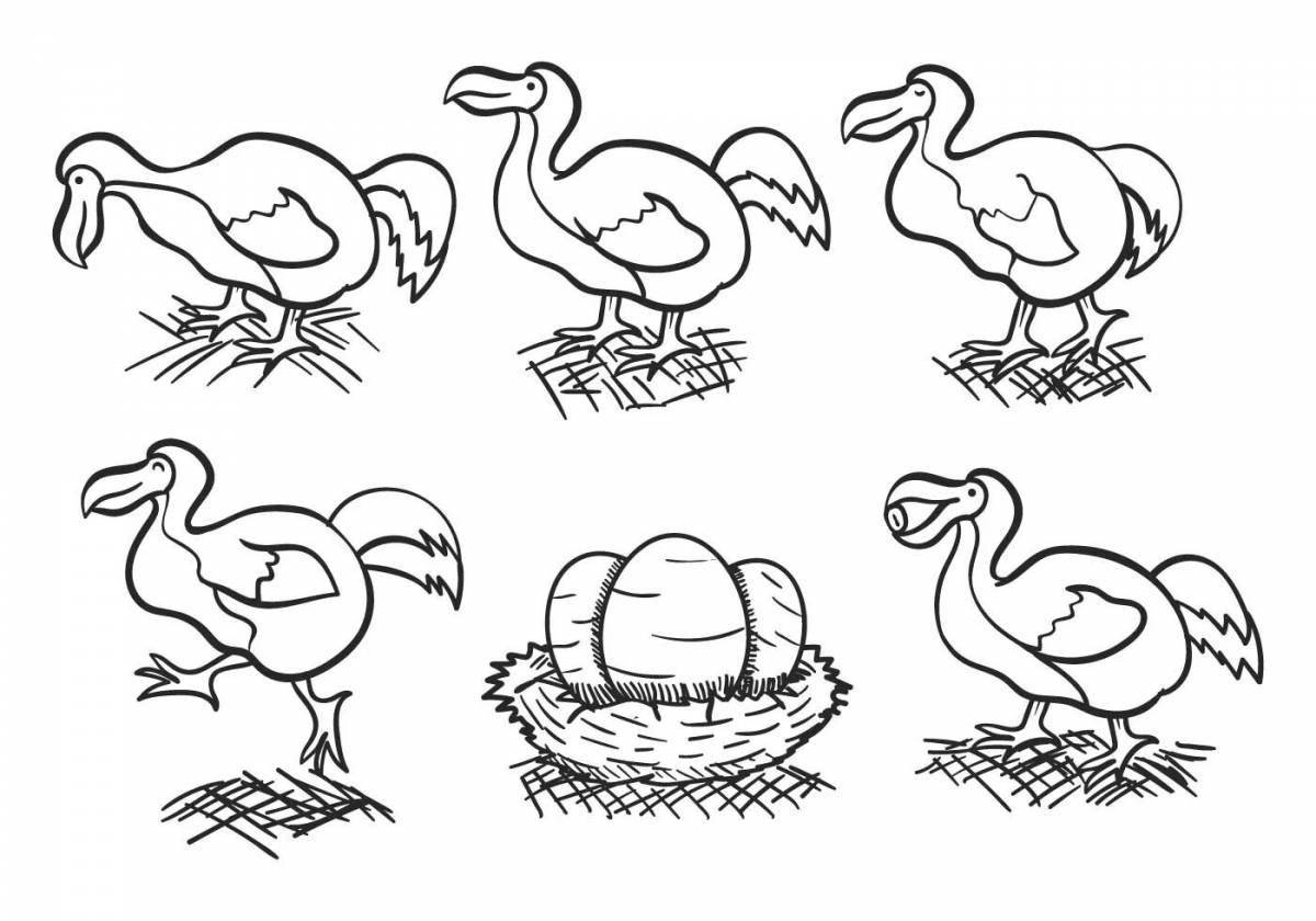 Fun dodo bird coloring