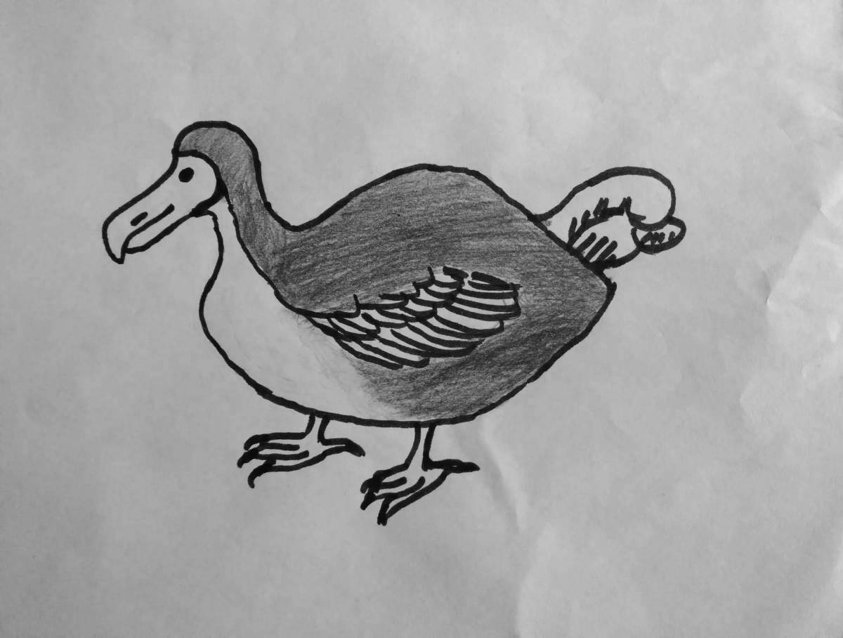 Fancy dodo bird coloring book