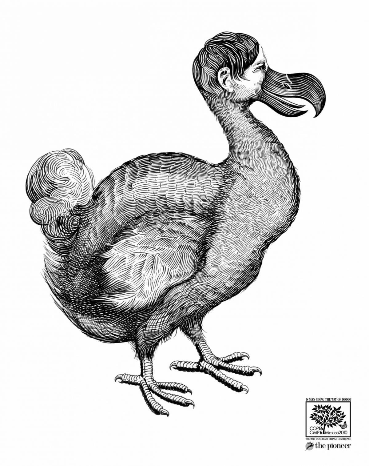 Beautiful dodo bird coloring page