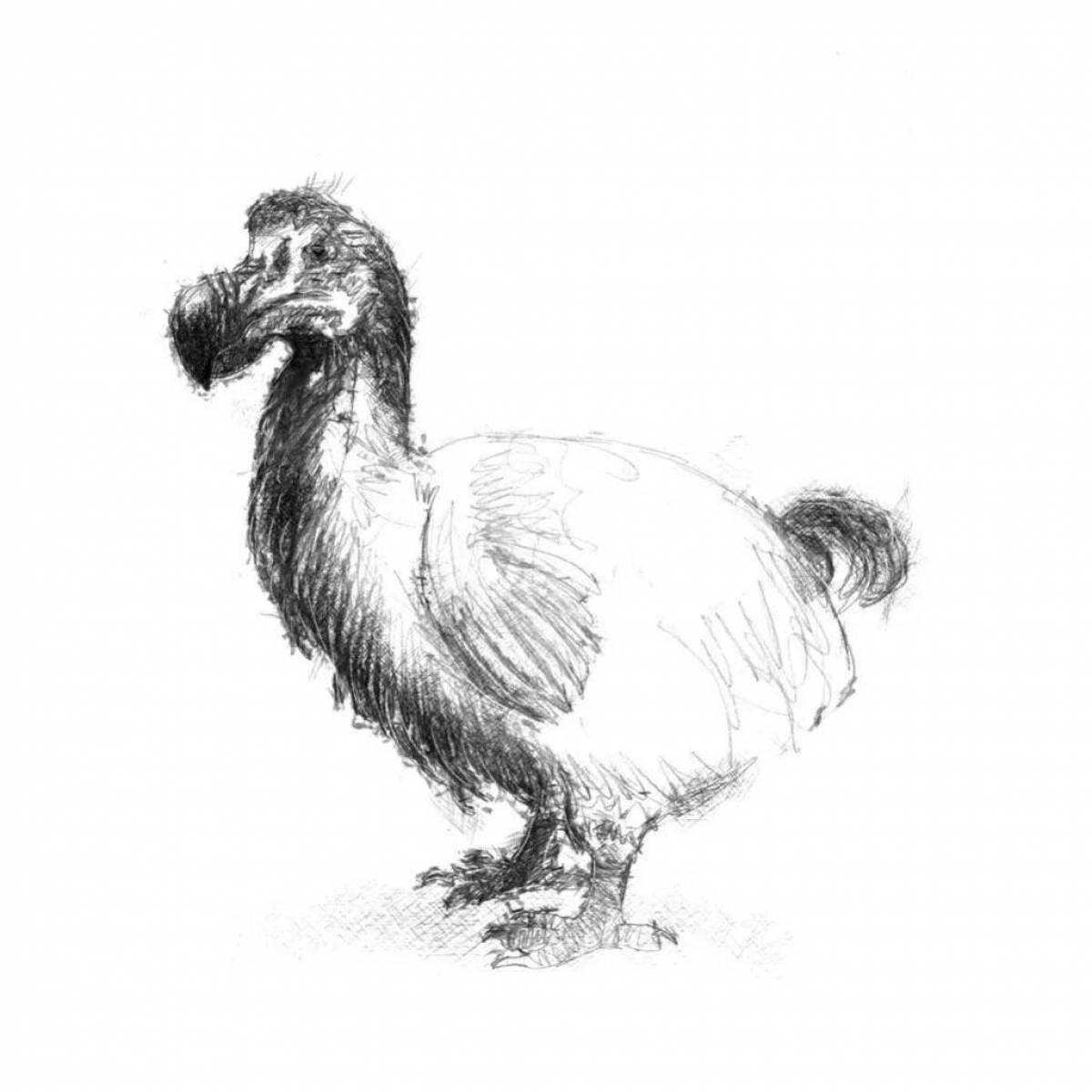 Holiday dodo bird coloring
