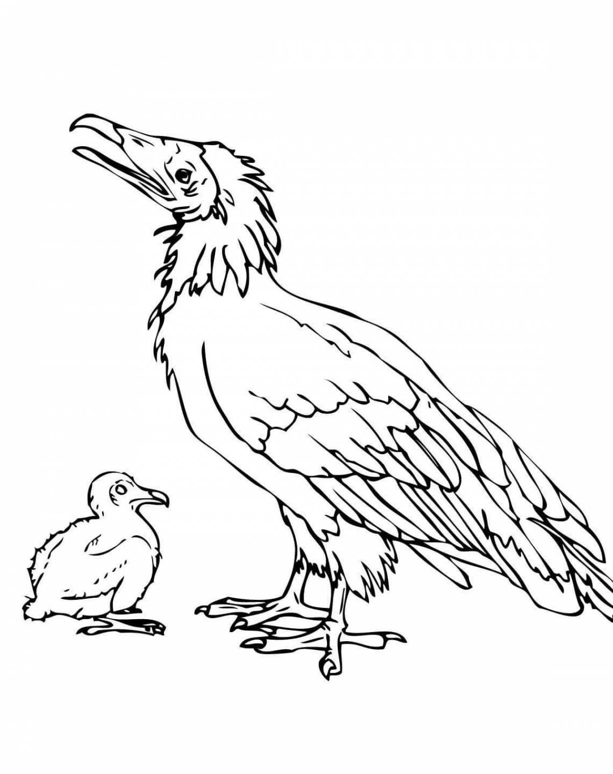 Раскраска волшебная птица додо