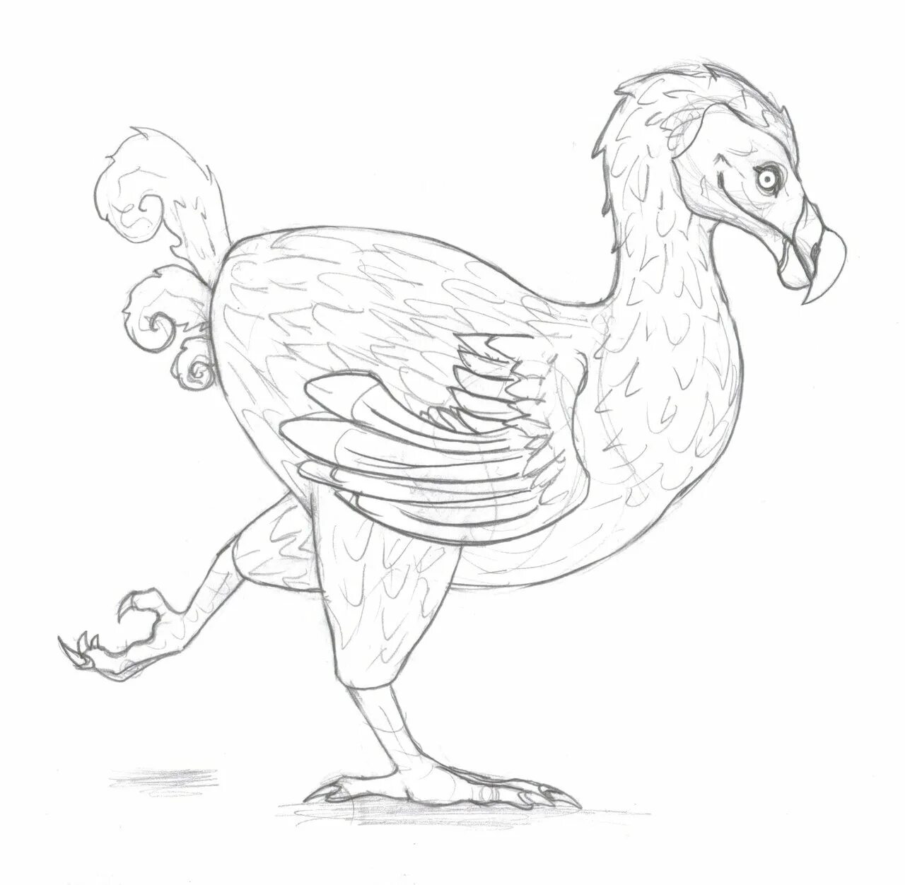 Wonderful dodo bird coloring