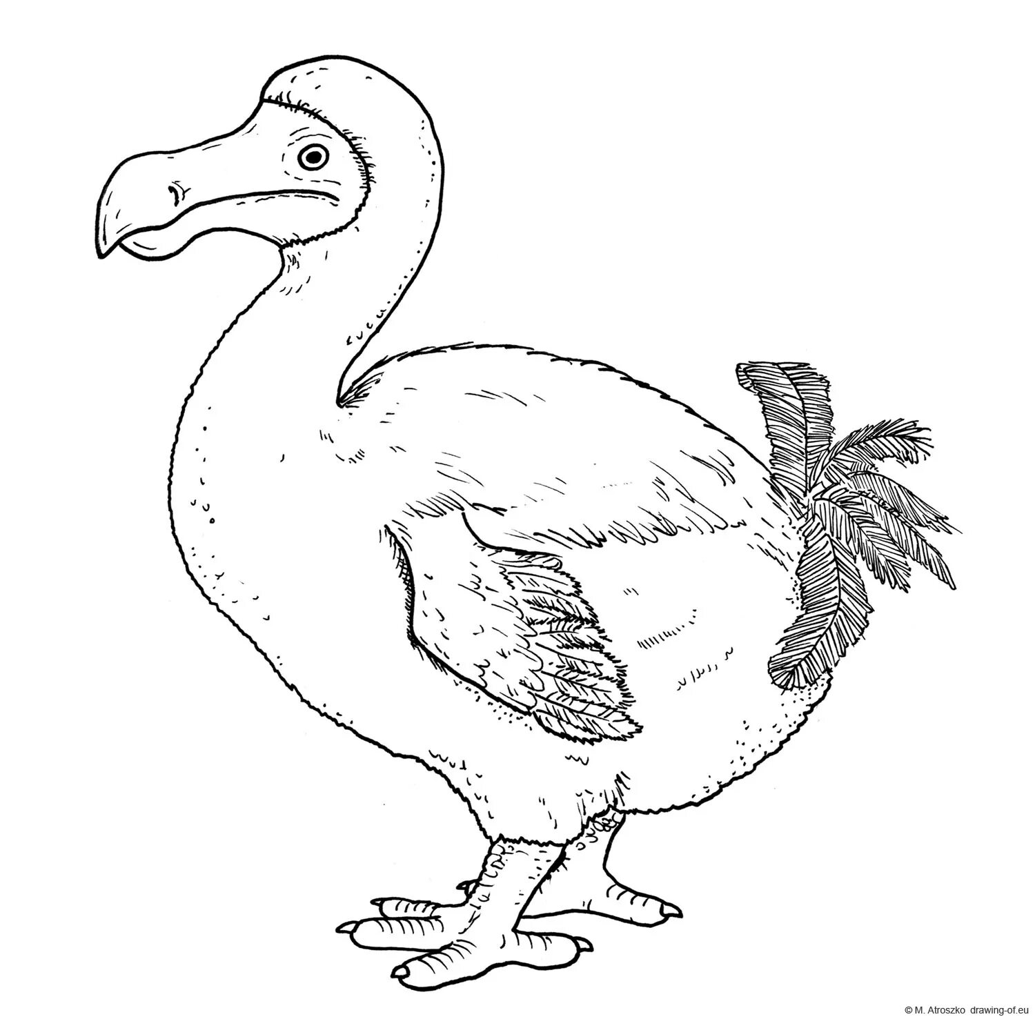 Awesome dodo bird coloring page