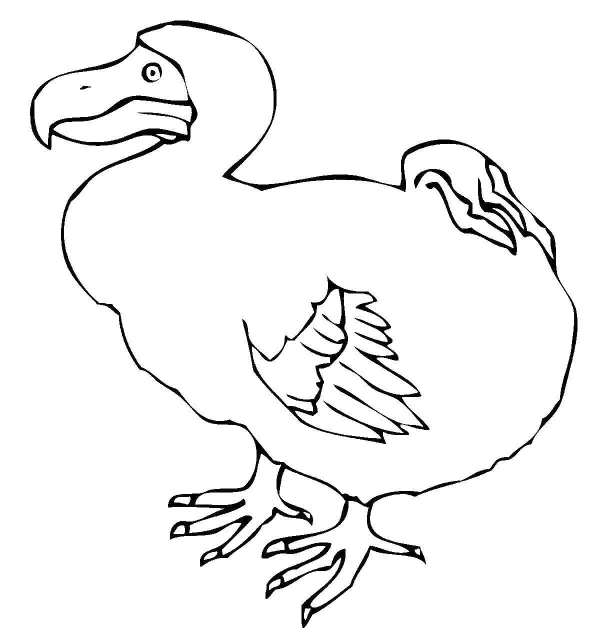 Amazing dodo bird coloring page