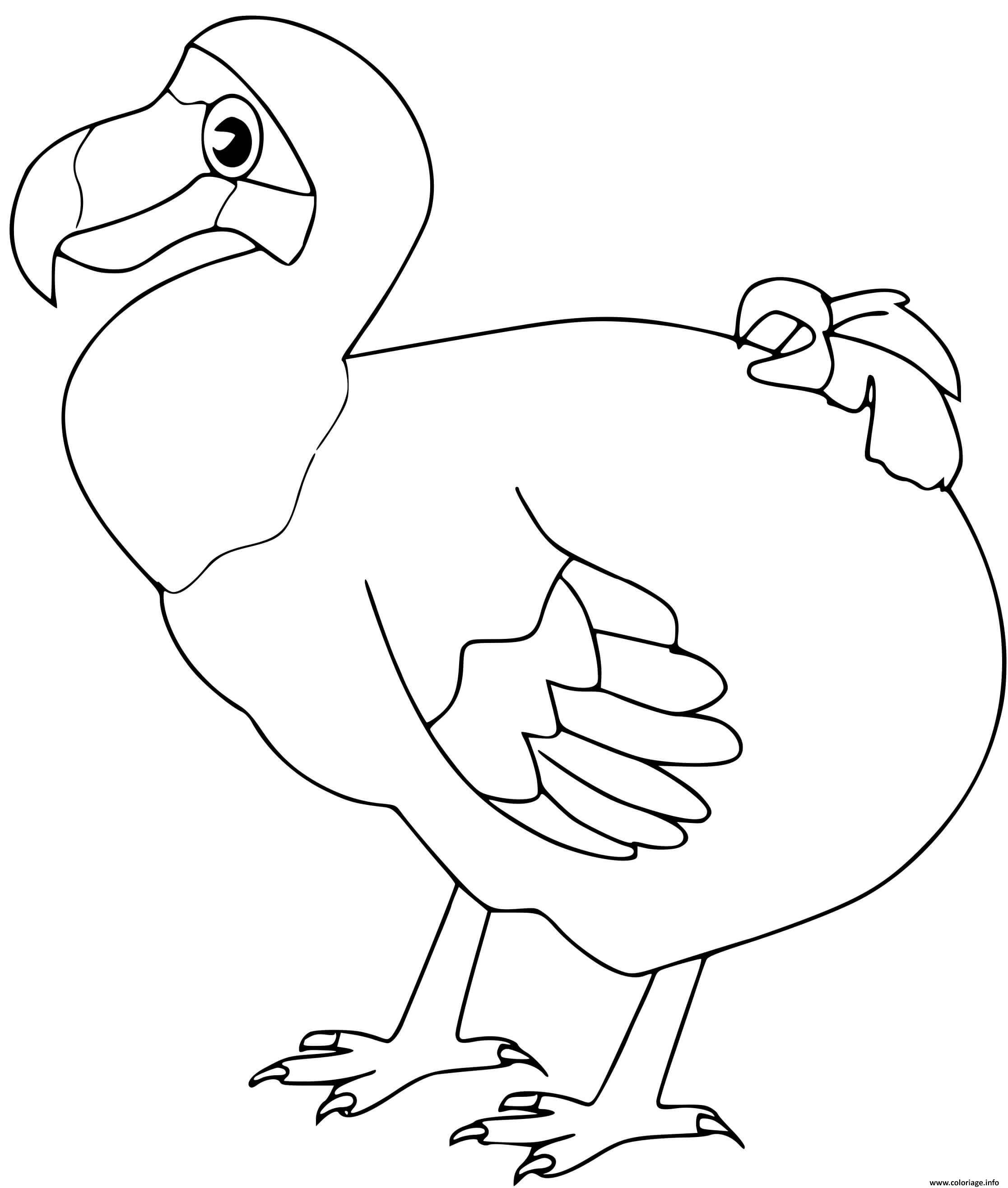 Раскраска эффектная птица додо