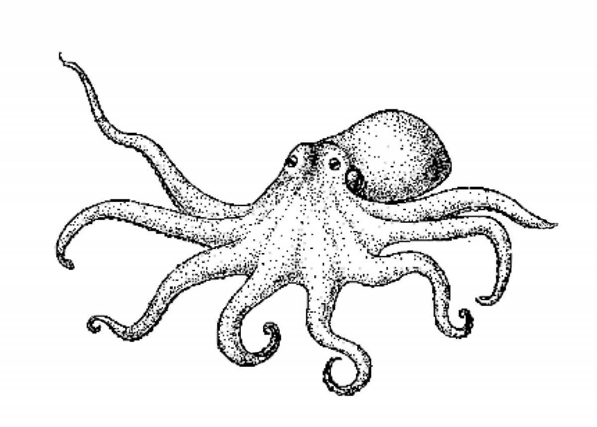 Tempting squid coloring book for kids