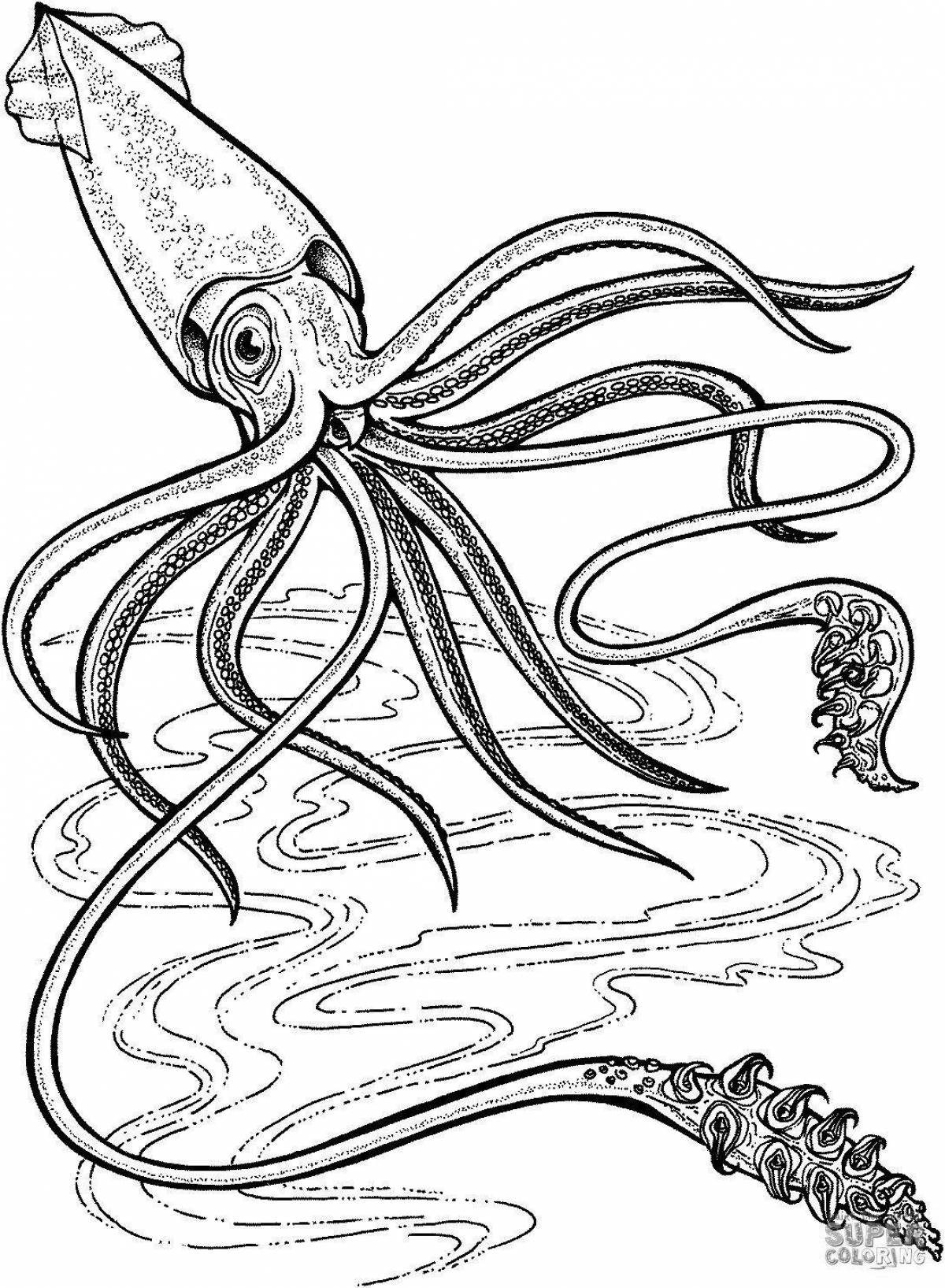 Witty squid coloring for kids