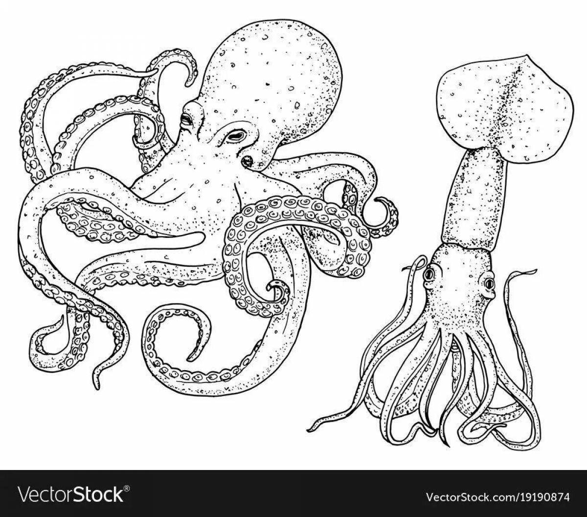 Smart squid coloring for kids