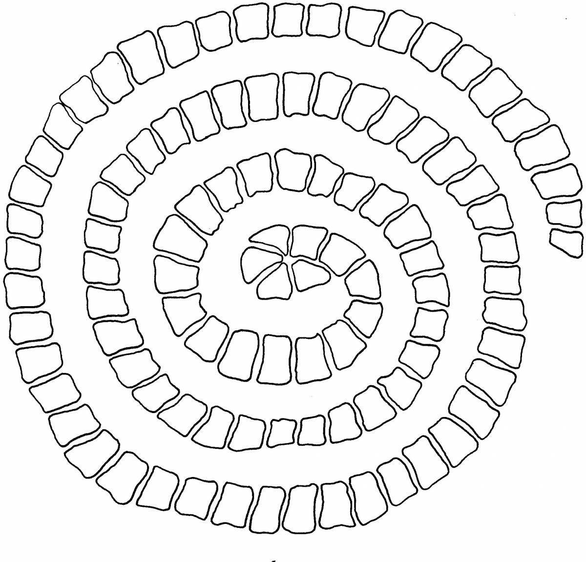 Веселая спиральная раскраска для детей