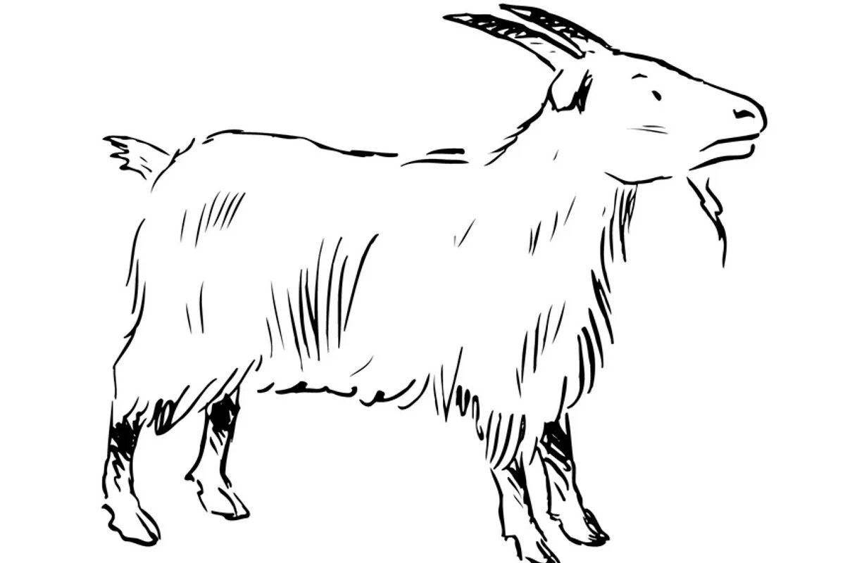 Adorable goat coloring book for kids