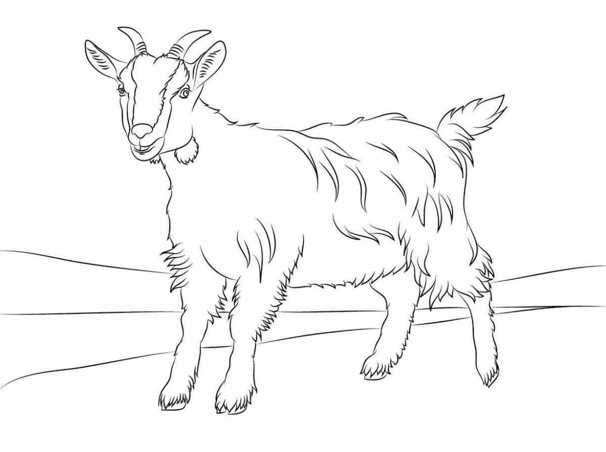 Playful goat coloring page for kids