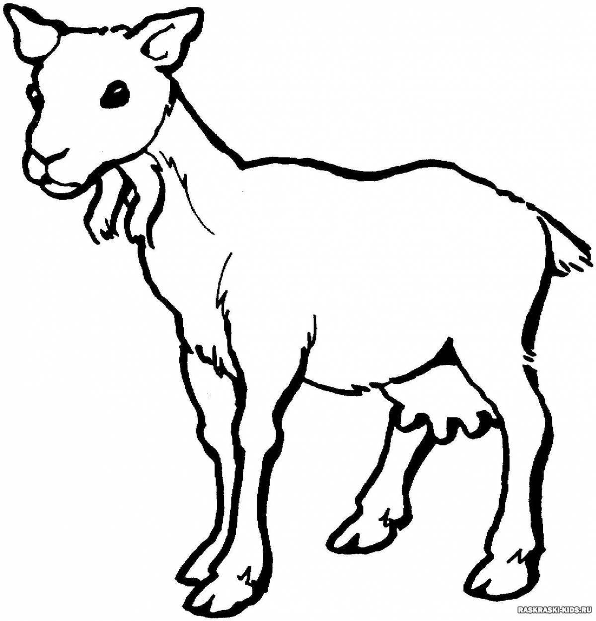 Живая коза раскраски для детей