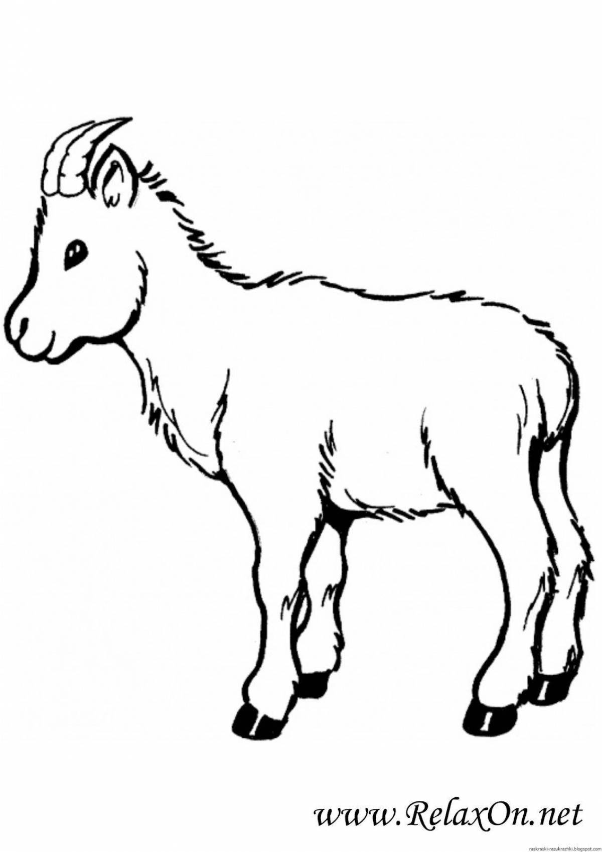 Colouring goat for kids