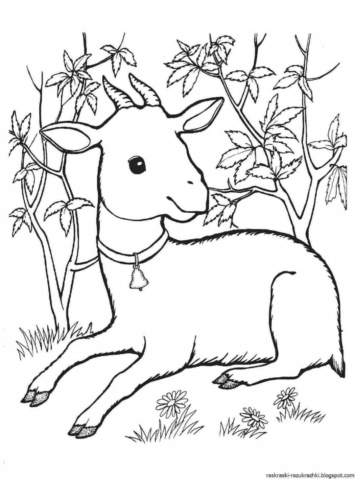 Coloring book happy goat for kids