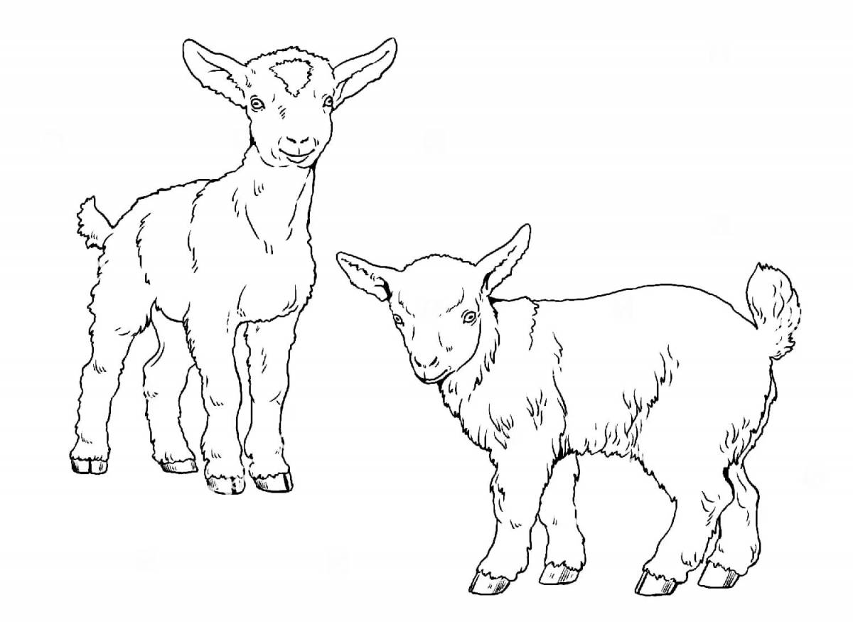 Восхитительная страница раскраски коз для детей