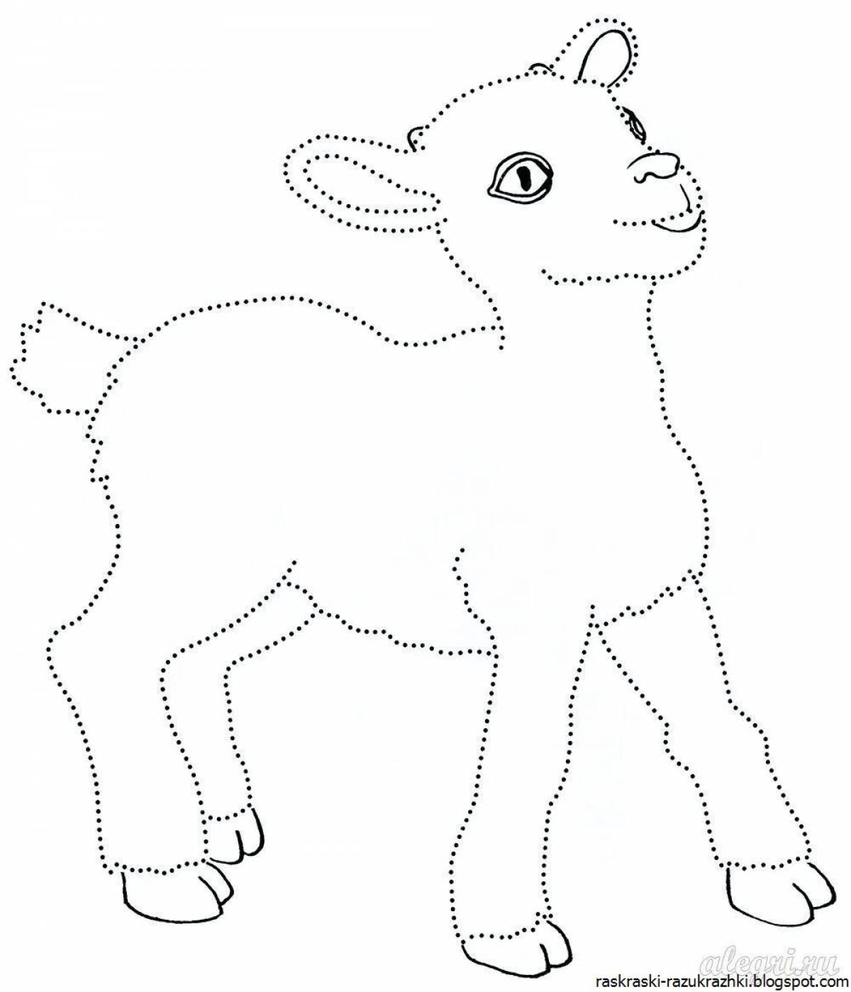 Baby goat #7