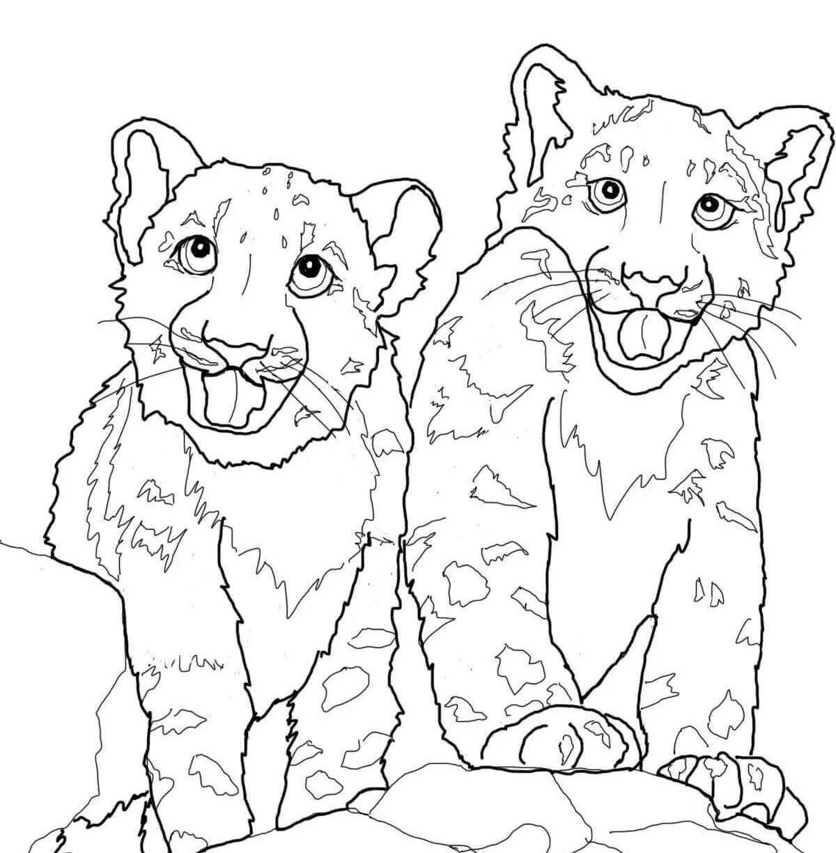 Раскраски Для Детей Ирбис - 70 фото