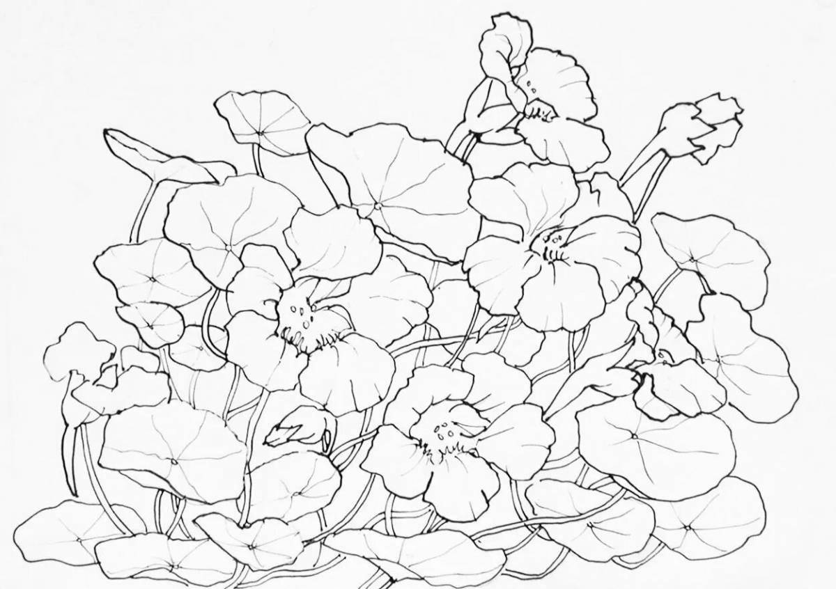 Раскраска Color-vivid watercolor marker coloring page