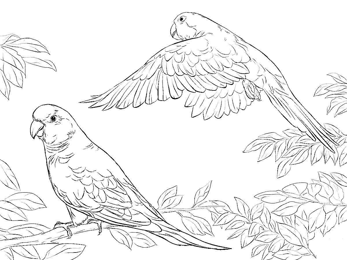 Раскраска Раскраска с цветным блестящим акварельным маркером