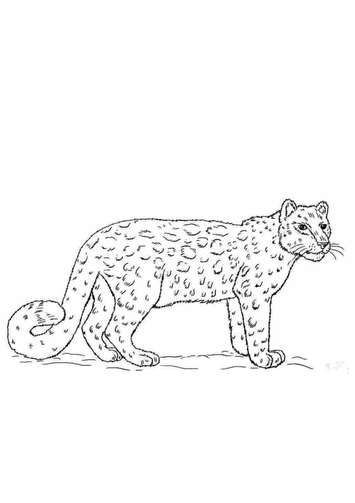 Playful snow leopard coloring page