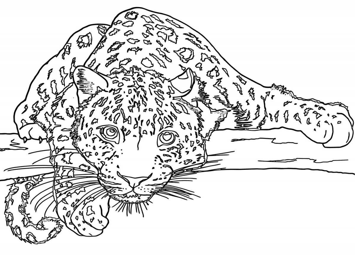 Colorful snow leopard coloring page