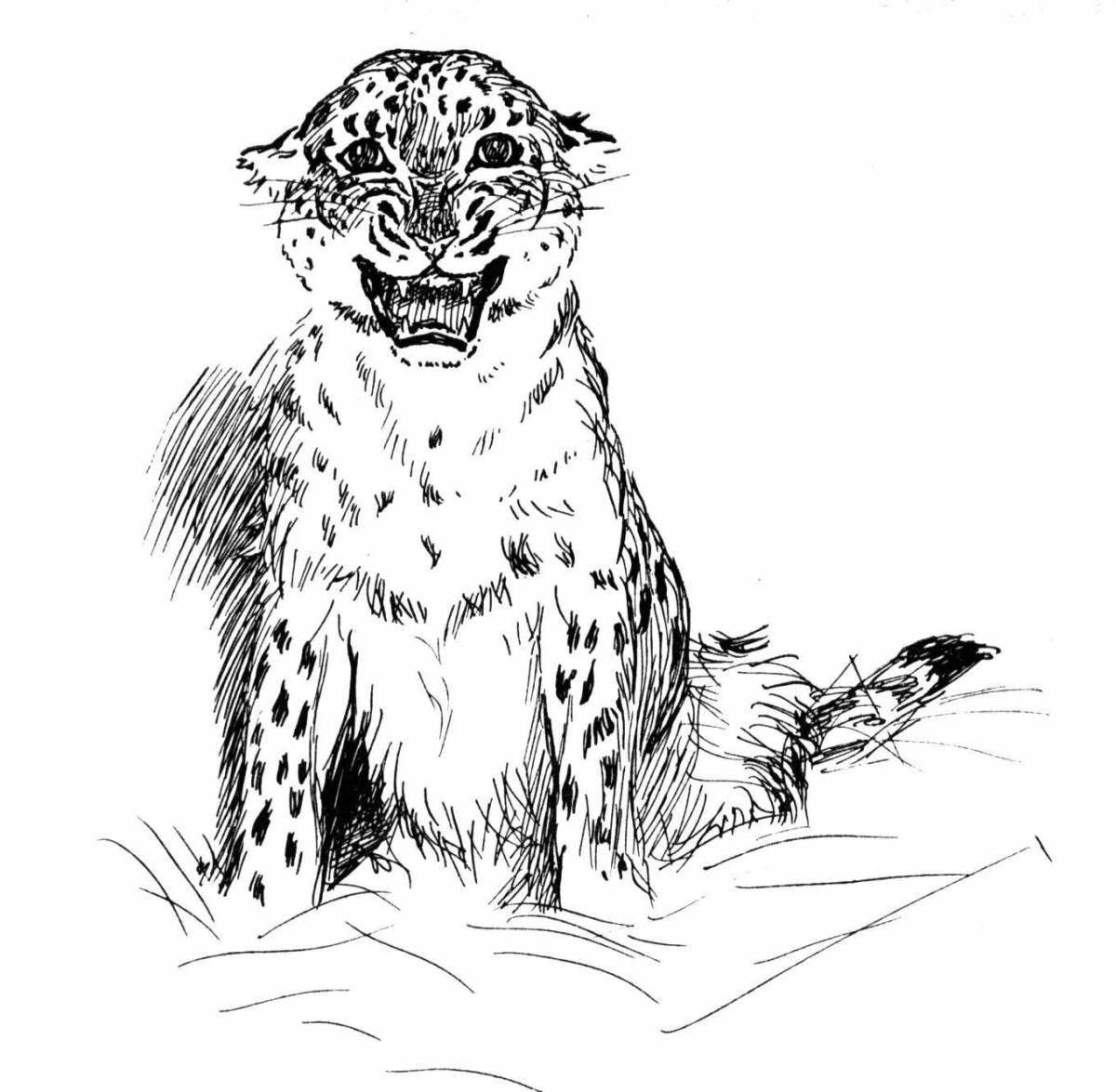 Charming snow leopard coloring page