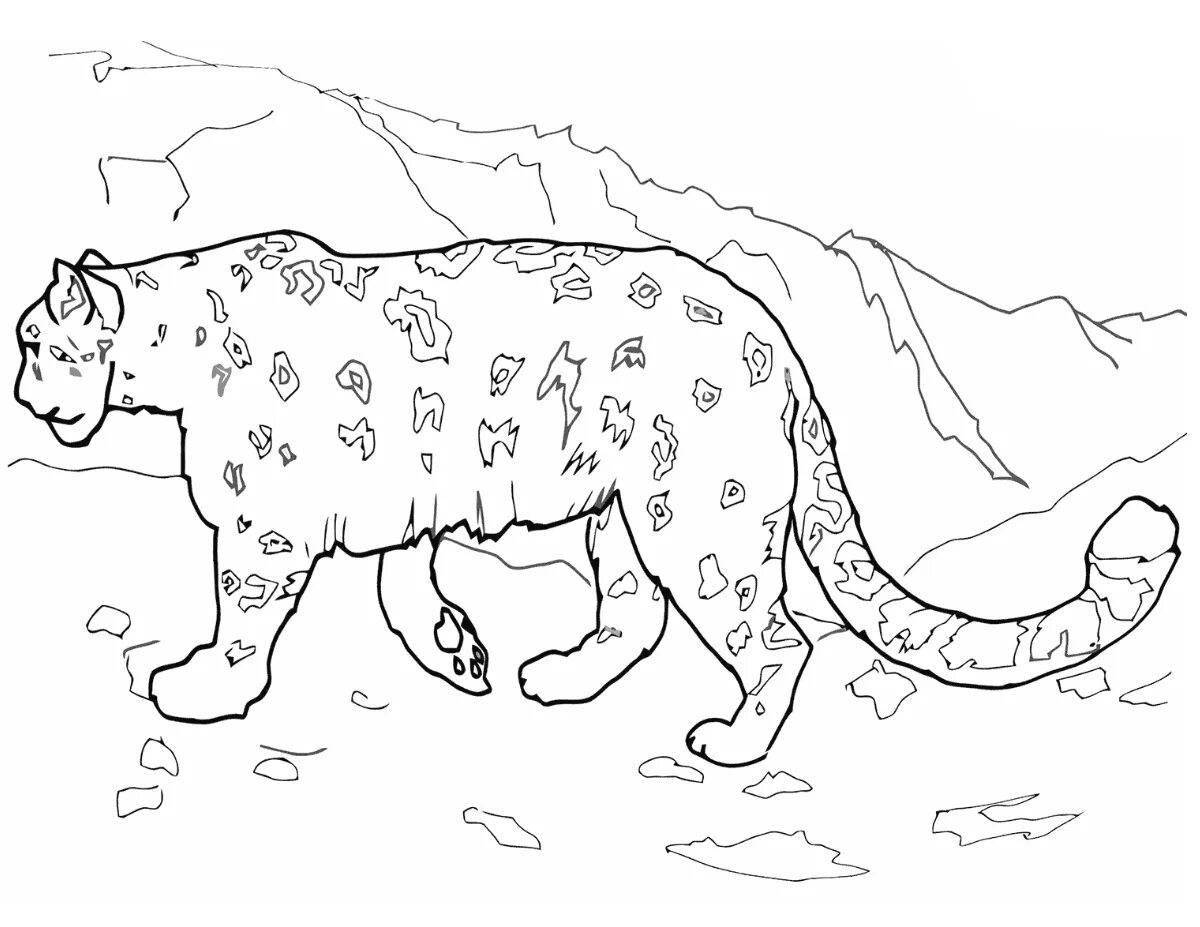 Coloring live snow leopard