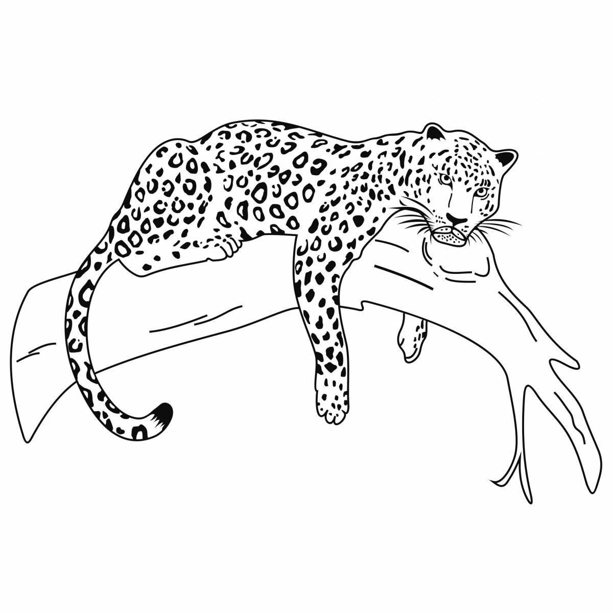 Coloring page dazzling snow leopard