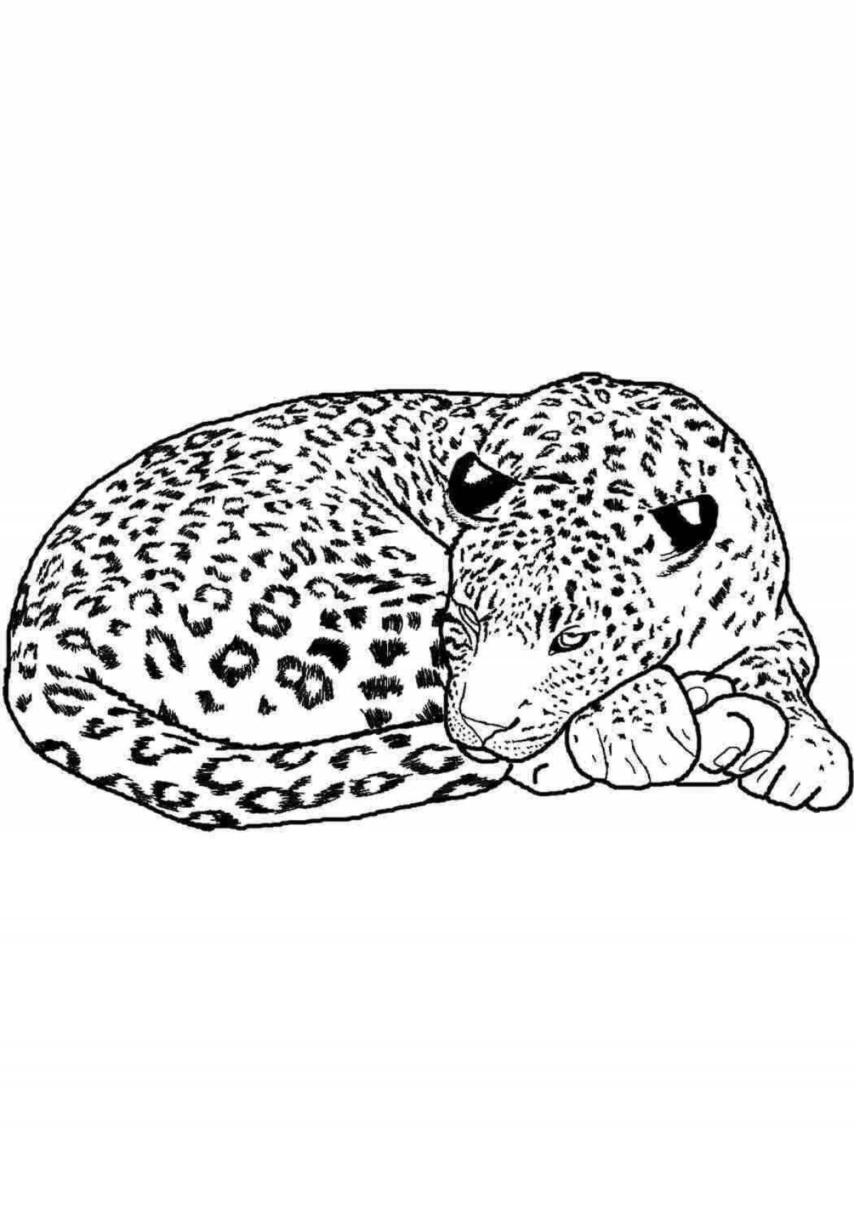 Coloring page graceful snow leopard