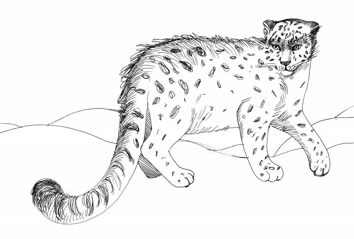 Cute snow leopard coloring page