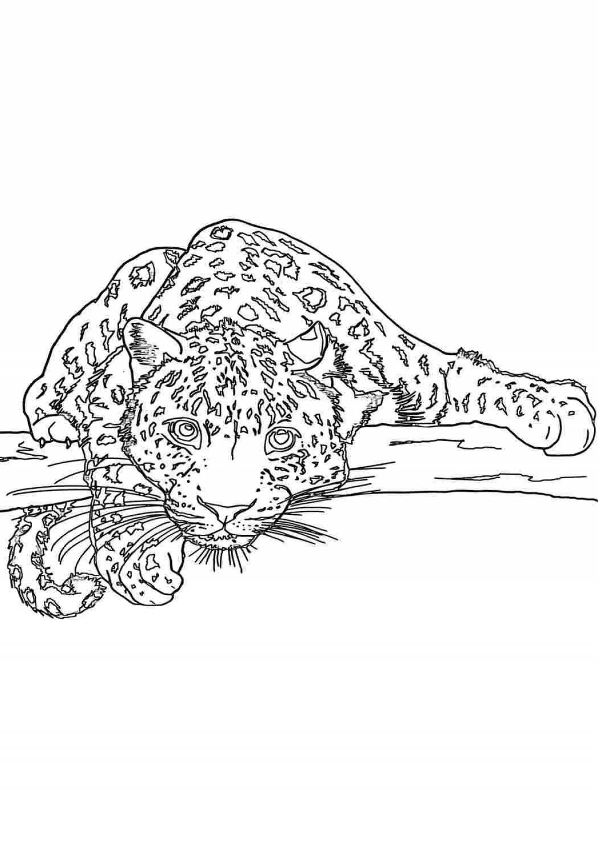 A funny snow leopard coloring book