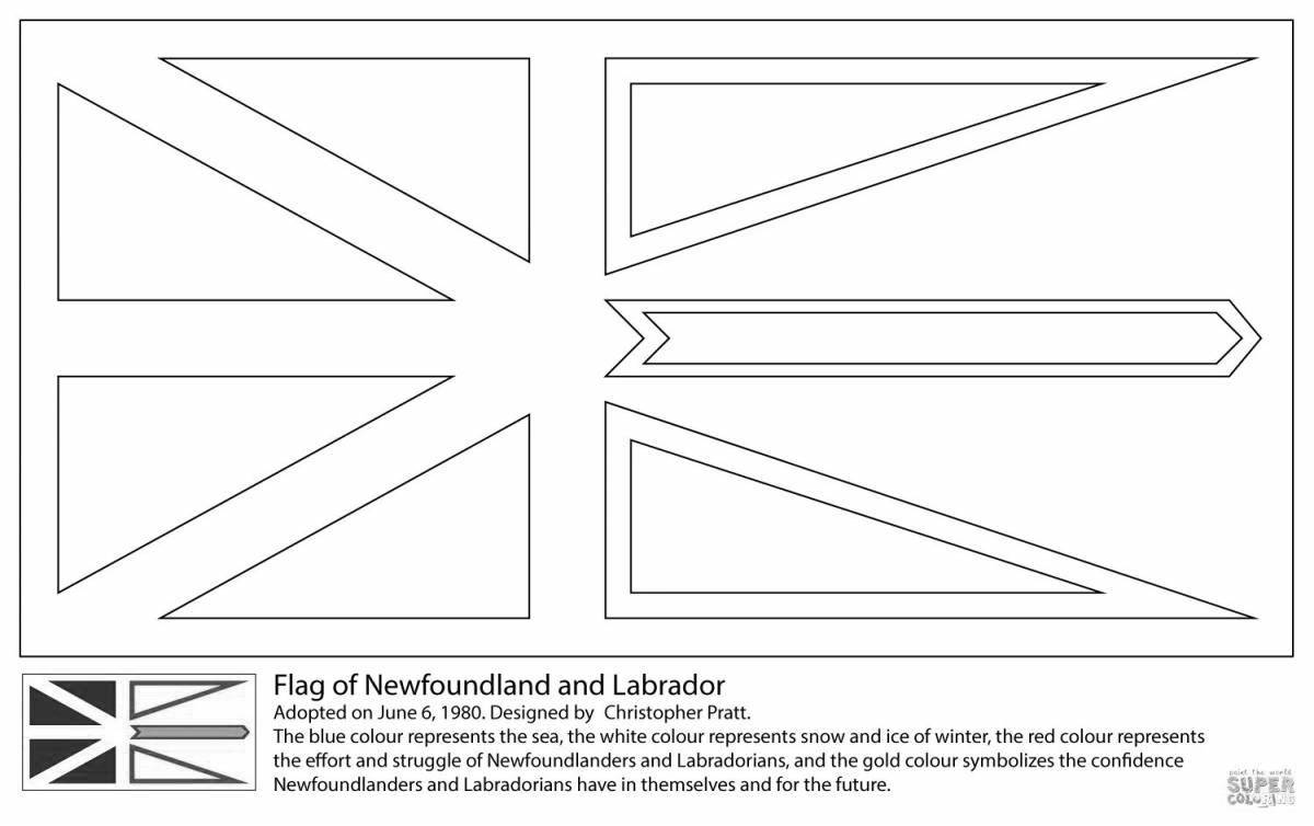 Увлекательная раскраска флага новой зеландии