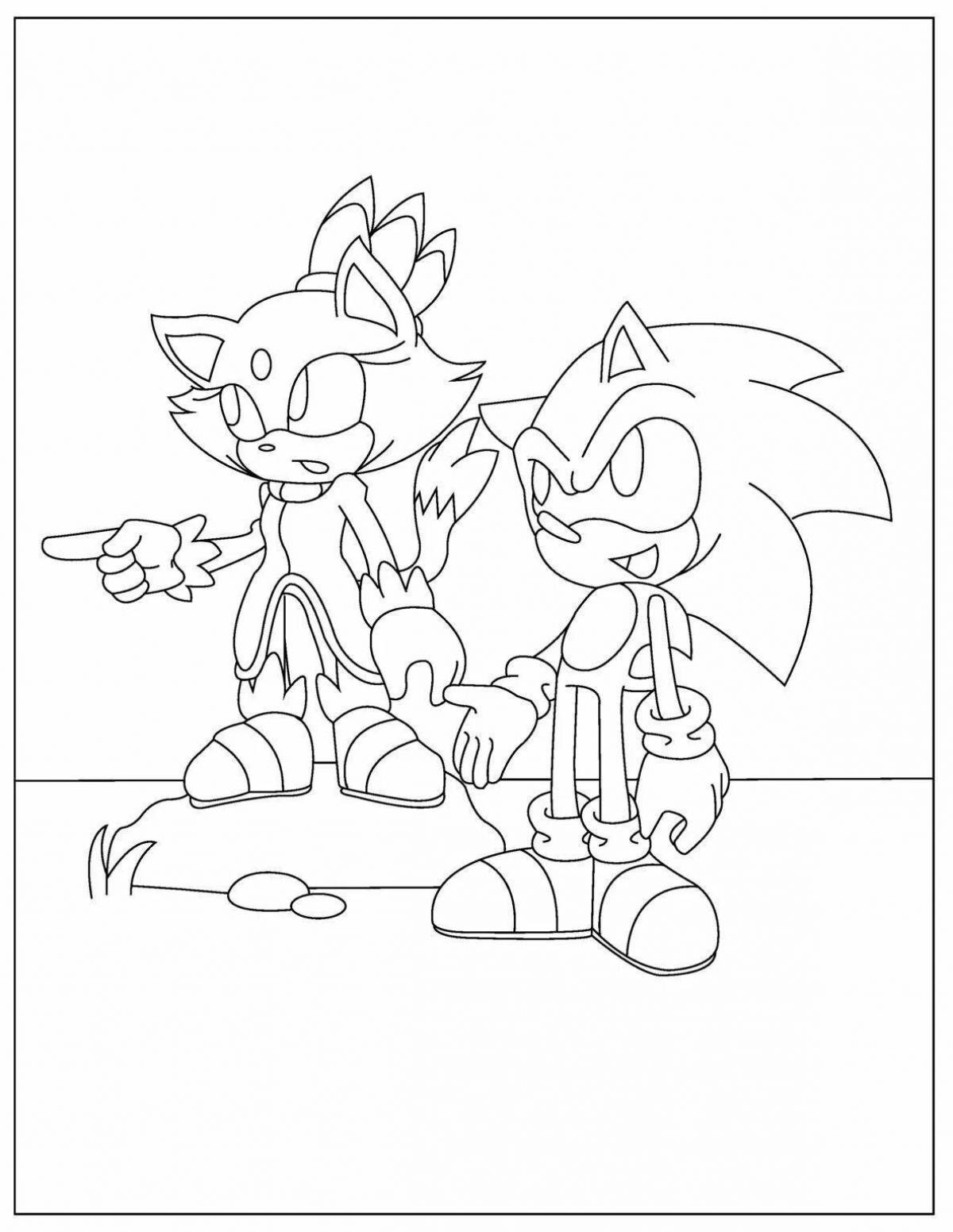 Delightful knuckles and rouge coloring book