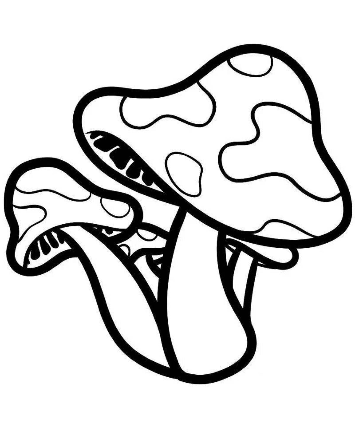 Radiant fly agaric frog coloring page
