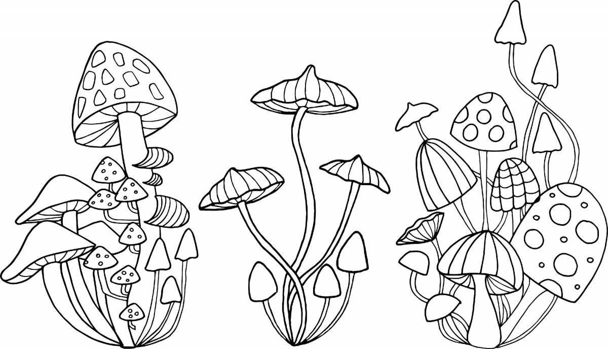 Majestic fly agaric frog coloring page