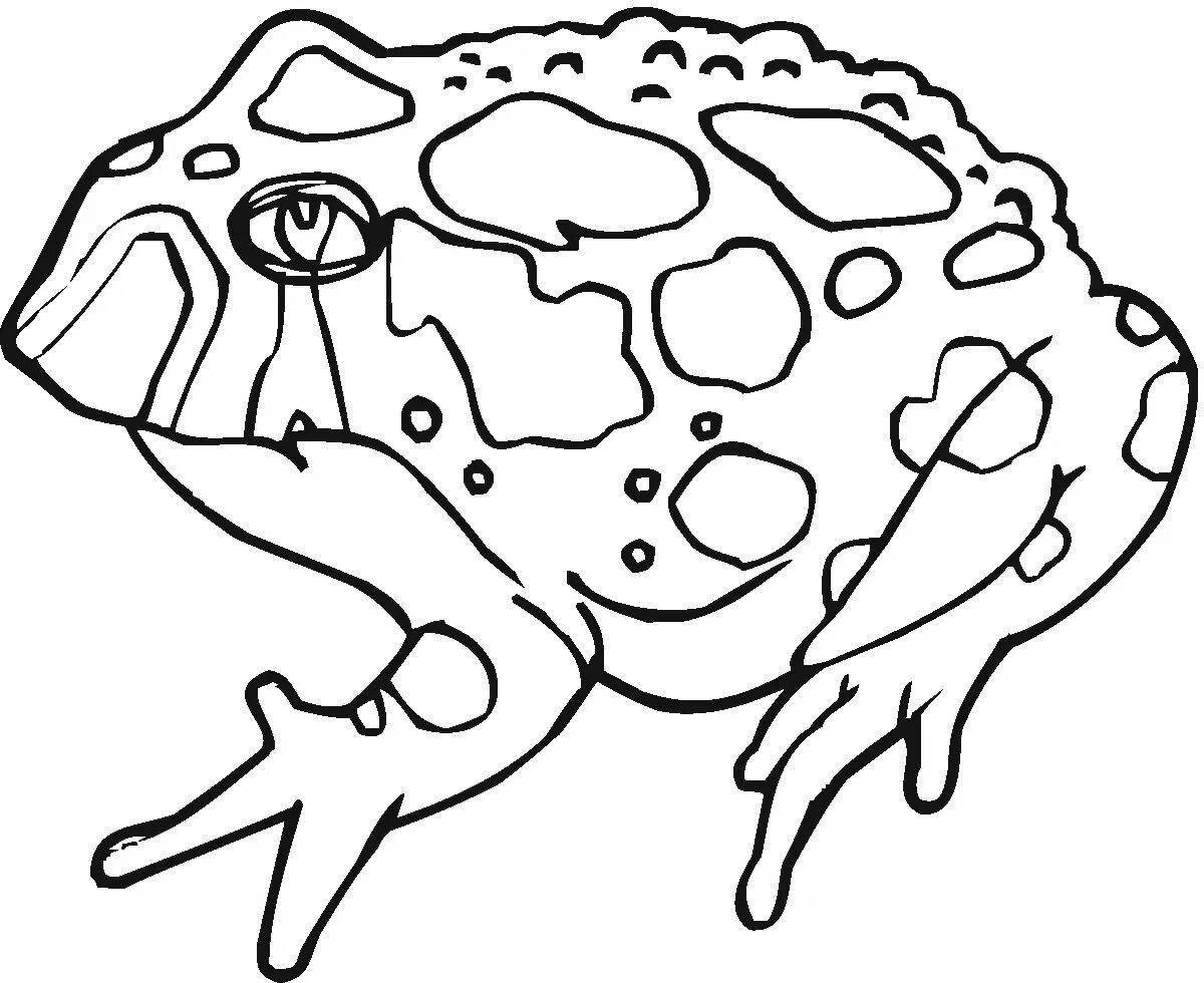 Coloring book of the regal fly agaric frog