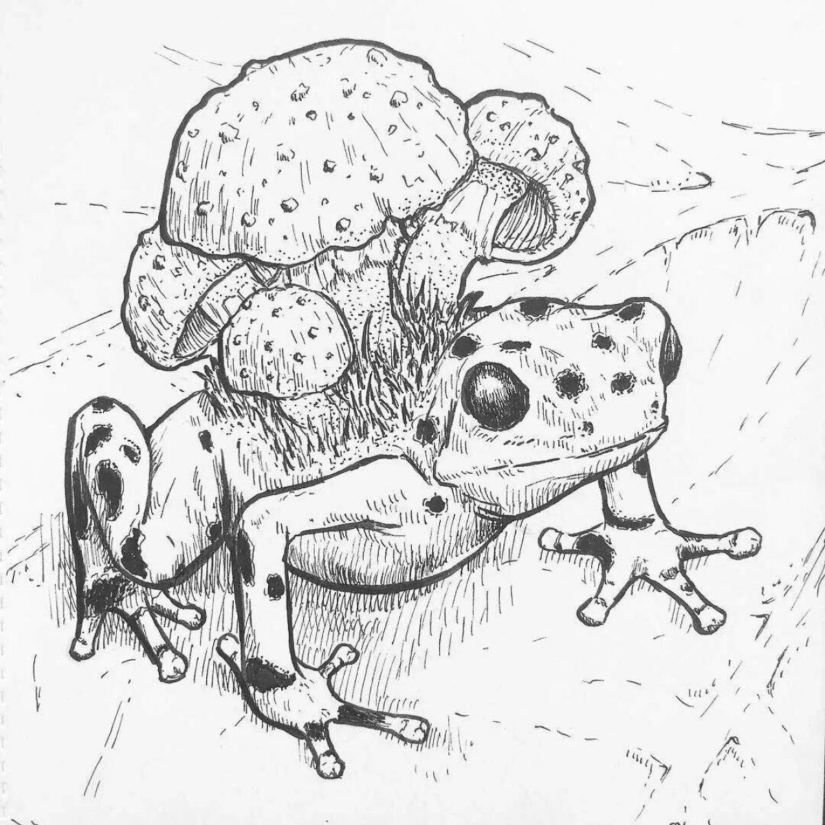 Coloring book exquisite fly agaric frog