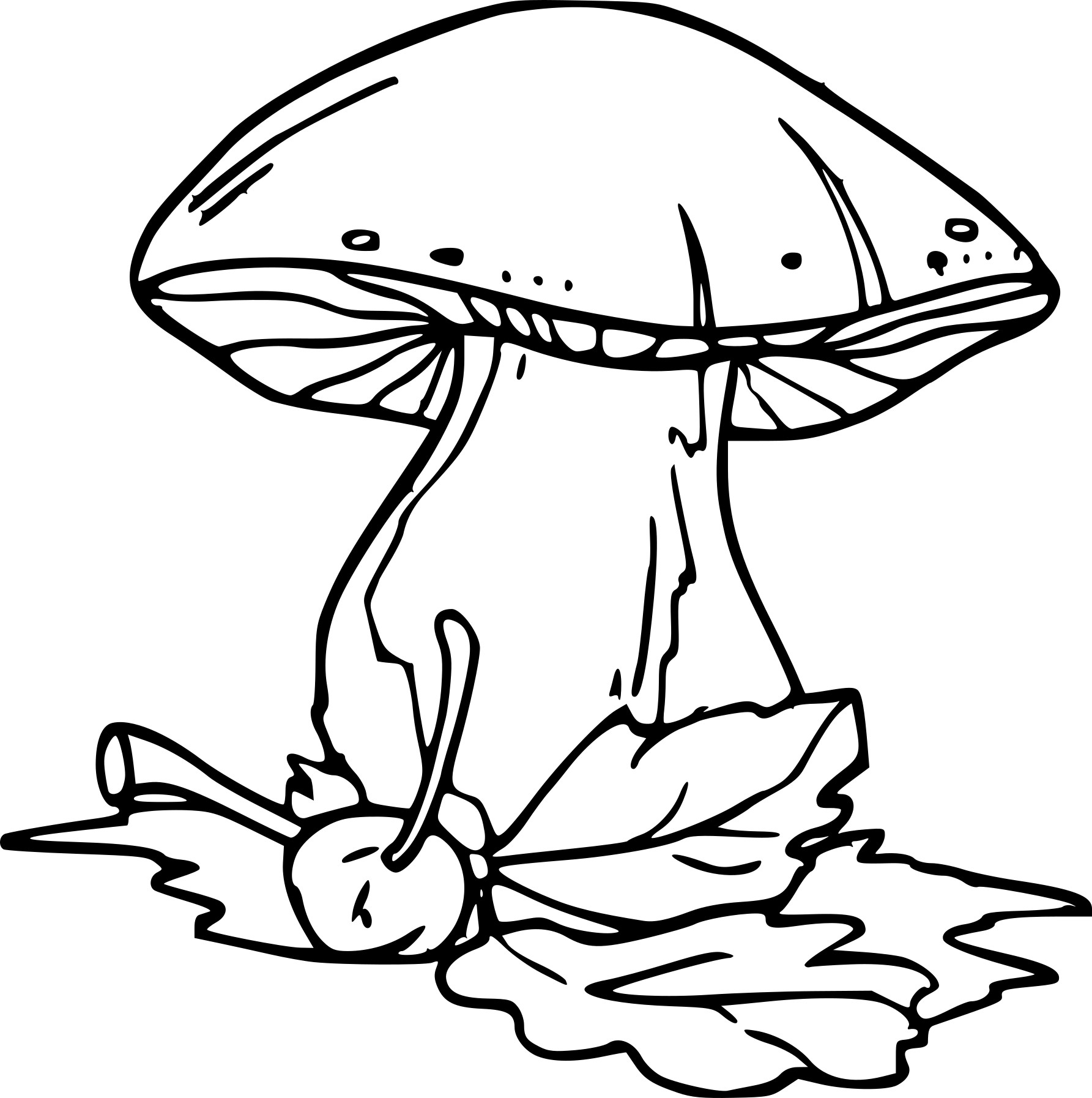 Coloring book calm fly agaric frog