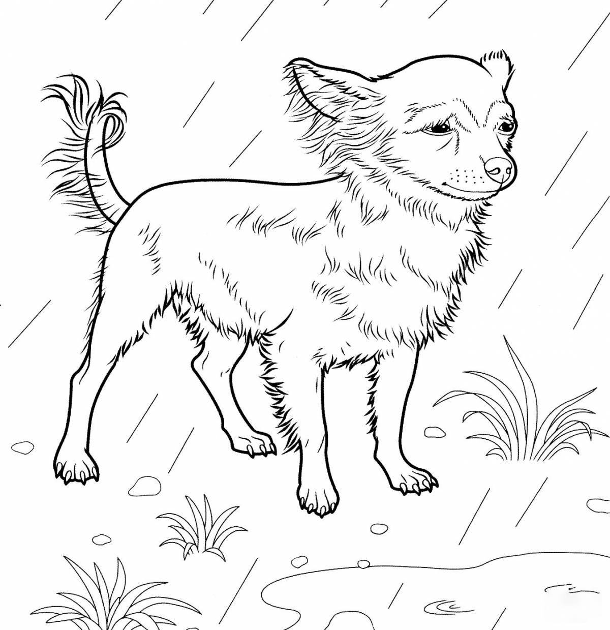 Colorful chestnut coloring page for kids