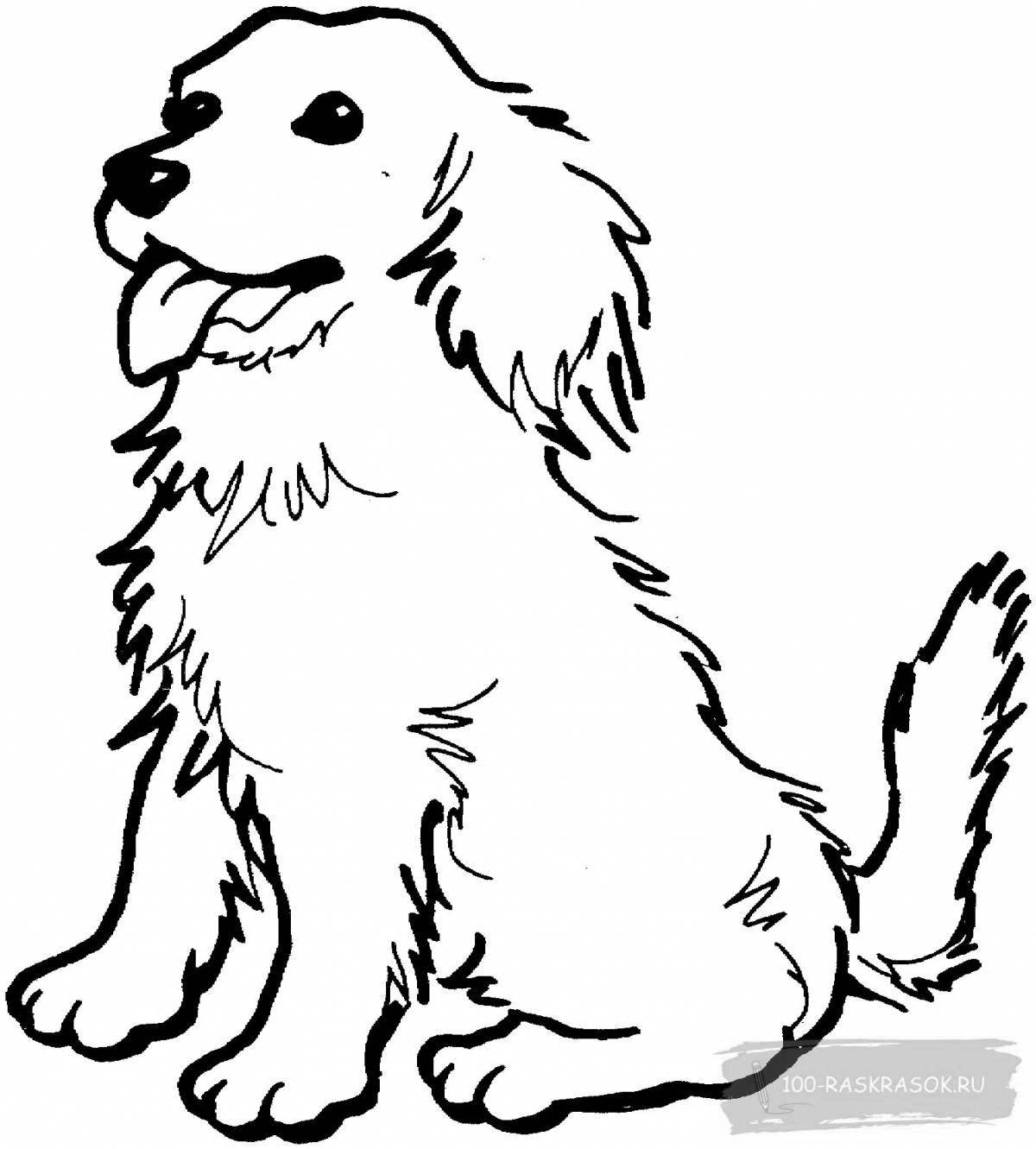 Children's happy chestnut coloring book