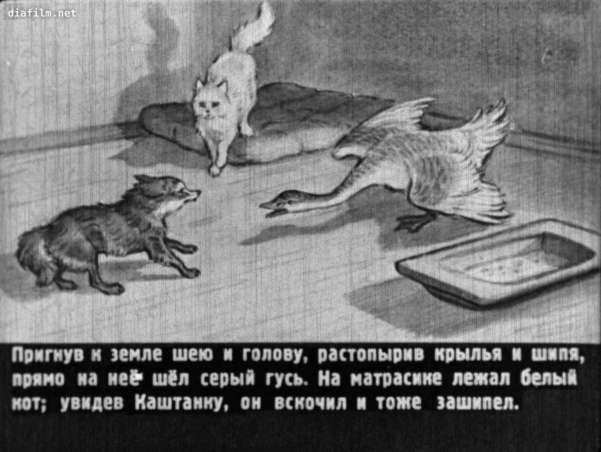 Shining chestnut coloring book for kids