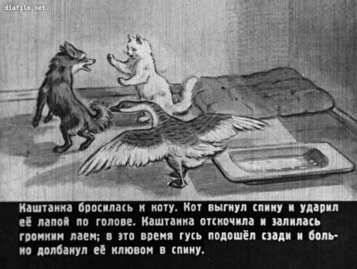 Fun coloring book with chestnuts for kids