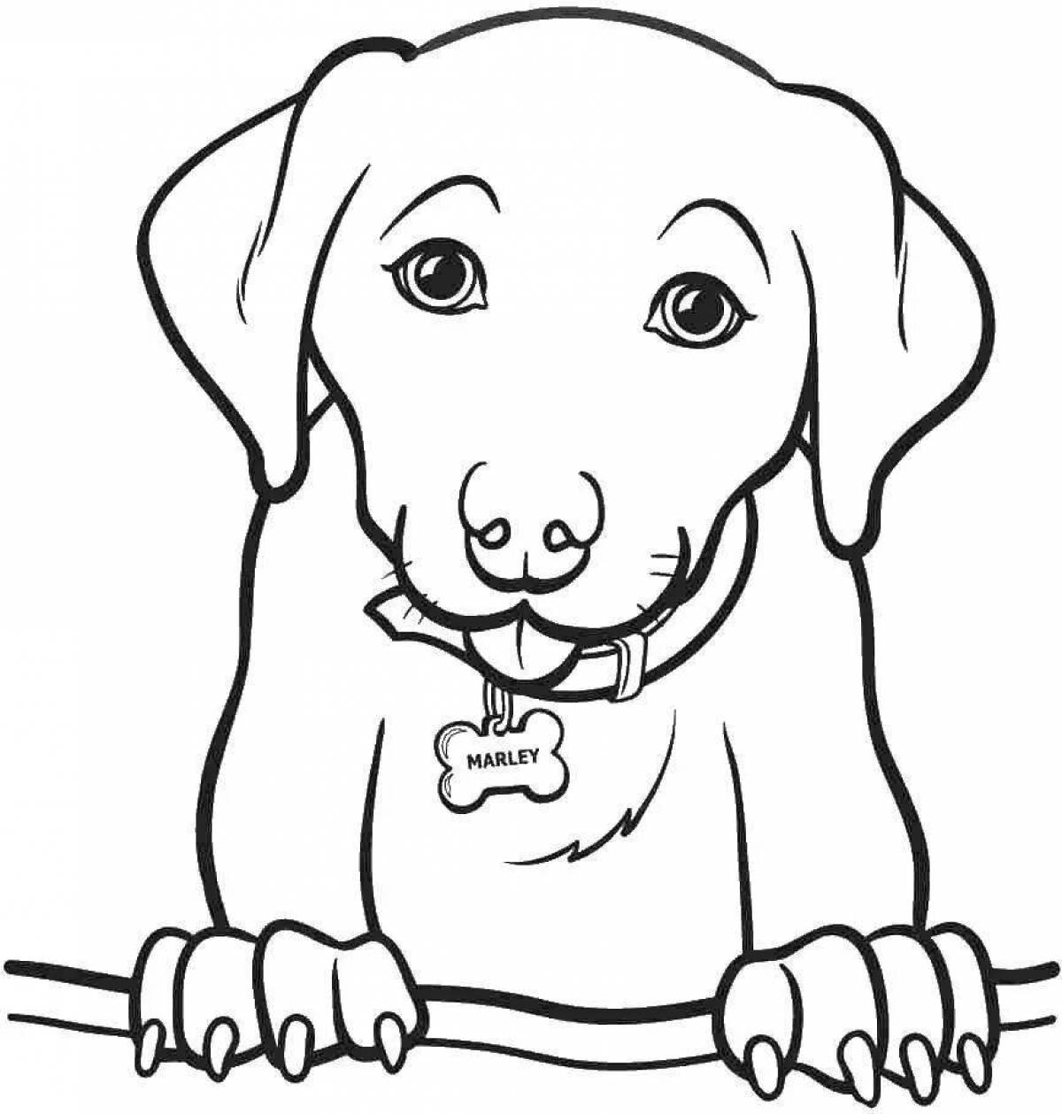 Playful coloring book for dog boys